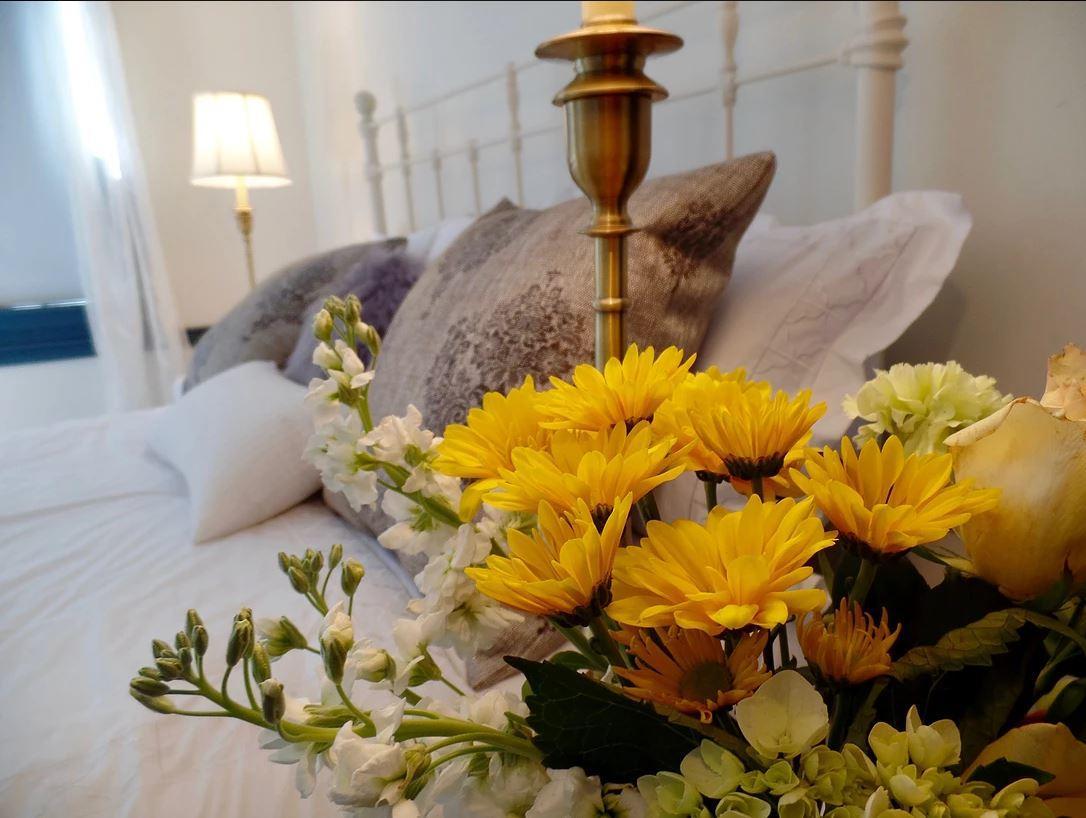 Acadia Bay Bed and breakfast Sullivan