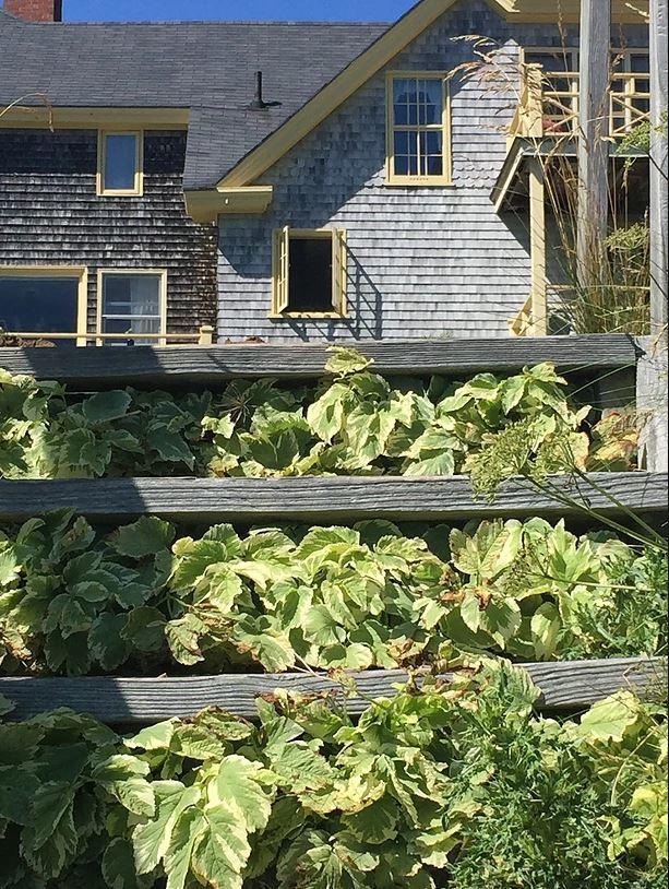Bed and breakfast Acadia Bay 3*